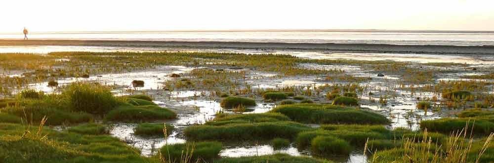 Wellnessurlaub im deutschen Norden an der Küste Wellness mit Sicht auf die Seegraswiesen an der Nordsee